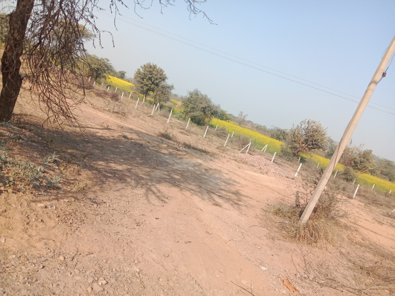 Agricultural Land 27 Acre for Sale in