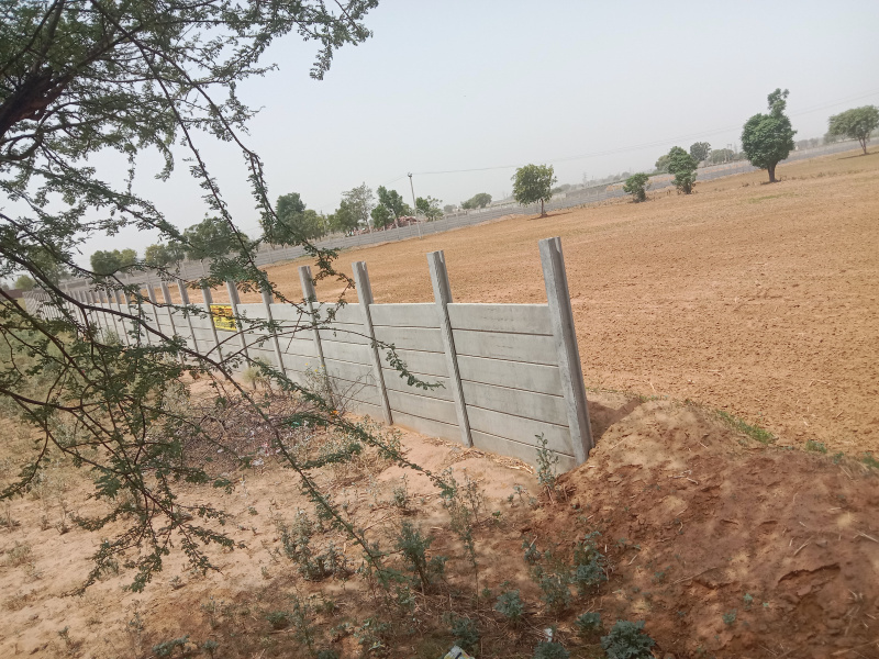 Agricultural Land 530 Sq. Yards for Sale in Pataudi, Gurgaon