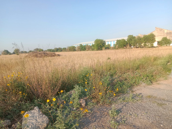  Agricultural Land for Rent in Pataudi, Gurgaon