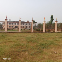  Agricultural Land for Sale in Thara, Bhiwadi