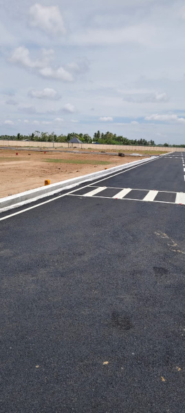  Residential Plot 4939 Sq.ft. for Sale in Panjapur, Tiruchirappalli