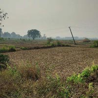  Agricultural Land for Sale in Bodh Gaya