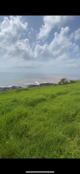  Agricultural Land for Sale in Dapoli, Ratnagiri