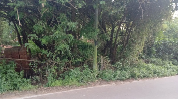  Residential Plot for Sale in Colva, South Goa, 