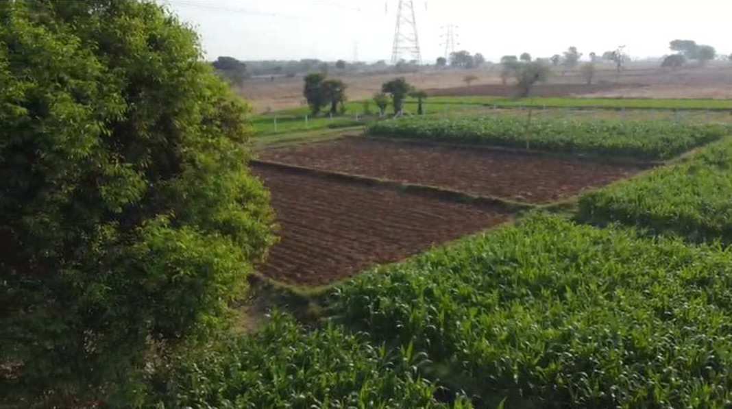 Agricultural Land 3 Acre for Sale in Keshampeta, Mahbubnagar