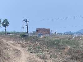 4 Acre Agricultural Land for Sale in Gunkalam, Vizianagaram