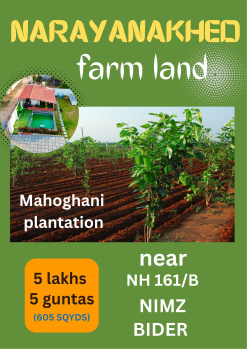 1 BHK Farm House for Sale in Narayankhed, Sangareddy