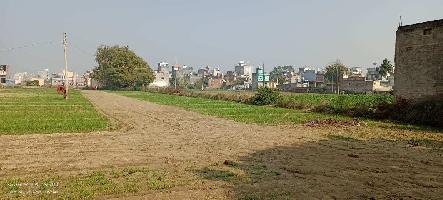  Residential Plot for Sale in Baba Hari Das Enclave, Jharoda Kalan, Delhi