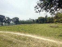  Agricultural Land for Sale in Parsendi, Sitapur