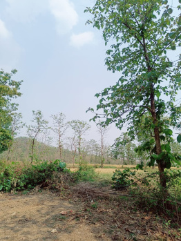  Agricultural Land for Sale in Ganeshpur, Bhandara