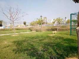  Residential Plot for Sale in Sector 92 Gurgaon