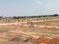 Agricultural Land for Sale in Shadnagar, Hyderabad