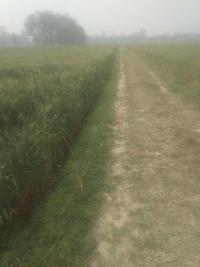  Agricultural Land for Sale in Pipiganj, Gorakhpur
