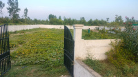  Agricultural Land for Sale in Garhmukteshwar, Hapur