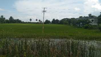  Commercial Land for Sale in Dhamra, Bhadrak