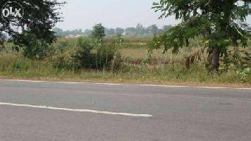  Commercial Land for Sale in Silani Gate, Jhajjar