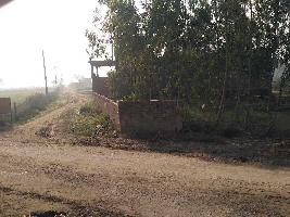  Residential Plot for Sale in Siktaur, Gorakhpur