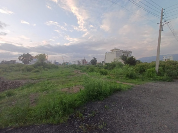  Residential Plot for Sale in Pinjore, Panchkula