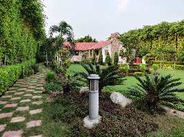 3 BHK Farm House for Sale in Sector 135 Noida