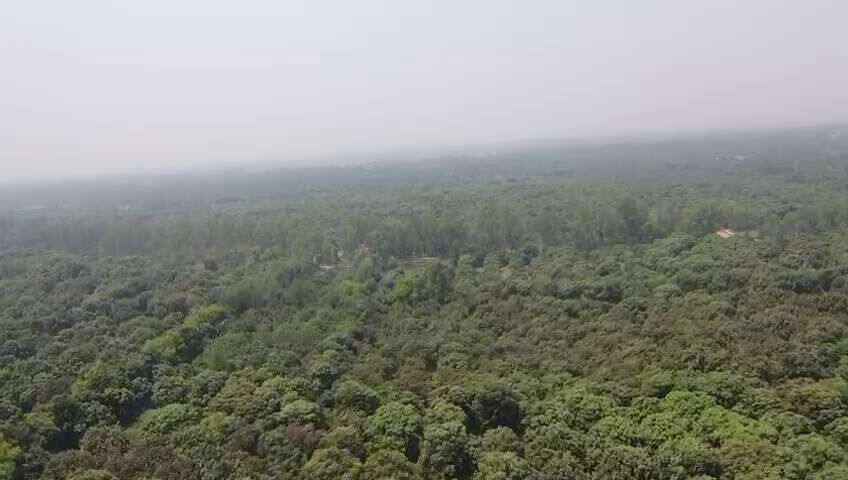 3 BHK Farm House 5000 Sq.ft. for Sale in Sohna, Gurgaon