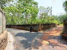  Residential Plot for Sale in Vadavucode, Ernakulam
