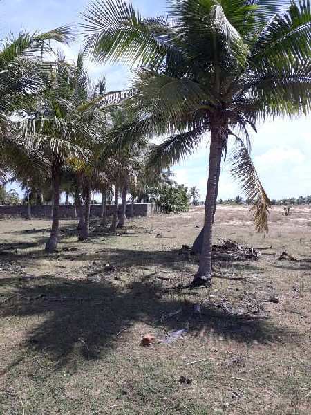  Residential Plot 12000 Sq.ft. for Sale in Mugaiyur, Villupuram