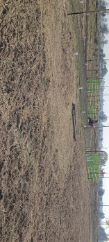  Residential Plot for Sale in Sabuj Nagar, Durgapur