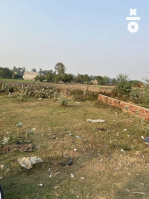 Commercial Land for Sale in Safidon, Jind