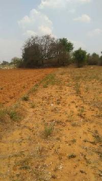  Agricultural Land for Rent in Nandagudi, Bangalore