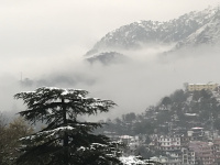 3 BHK Flat for Sale in Bajoral Khurd, Solan