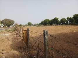  Agricultural Land for Sale in Sargaasan, Gandhinagar