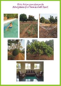  Agricultural Land for Sale in Thiruthani, Thiruvallur