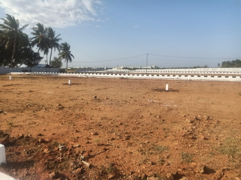  Residential Plot for Sale in Panjapur, Tiruchirappalli