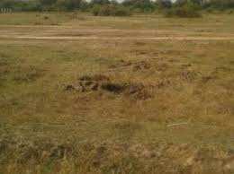  Agricultural Land for Sale in Mall Road, Faridkot