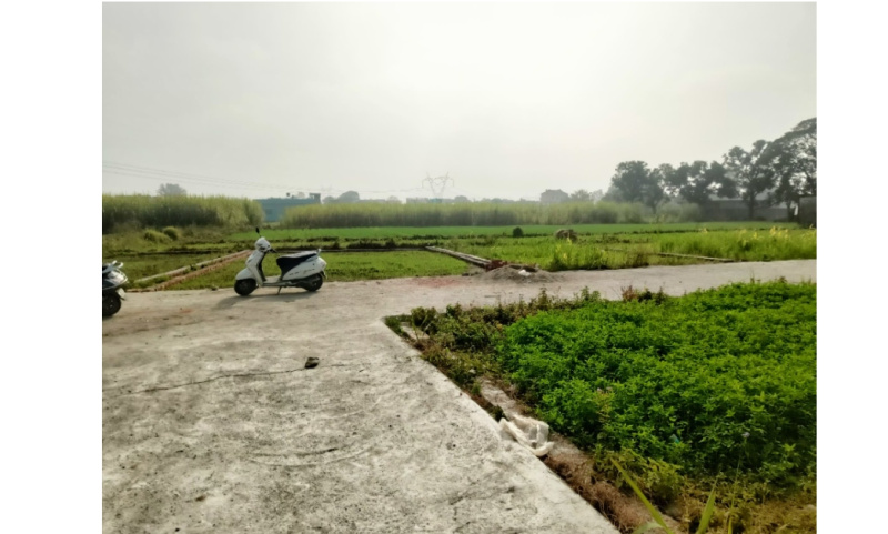  Residential Plot 115 Sq. Yards for Sale in Resham Majri, Dehradun