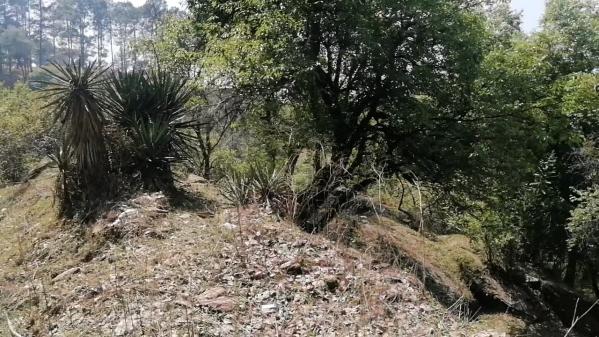  Commercial Land 1400 Sq. Yards for Sale in Mall Road, Almora