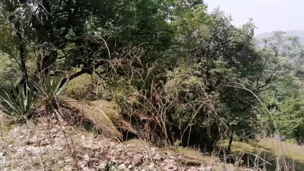  Commercial Land 1400 Sq. Yards for Sale in Mall Road, Almora
