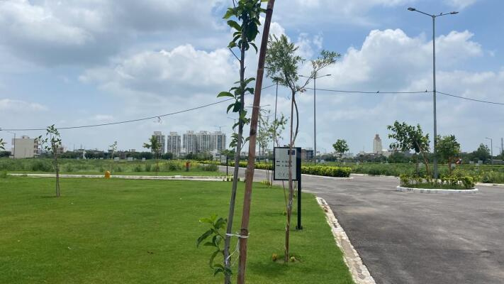  Residential Plot 502 Sq. Yards for Sale in Sector 7, Dharuhera