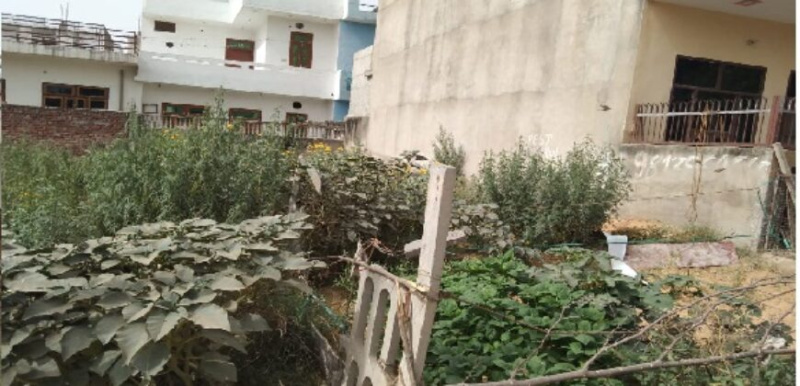  100 Sq. Yards Residential Plot for Sale in Sector 6 Dharuhera