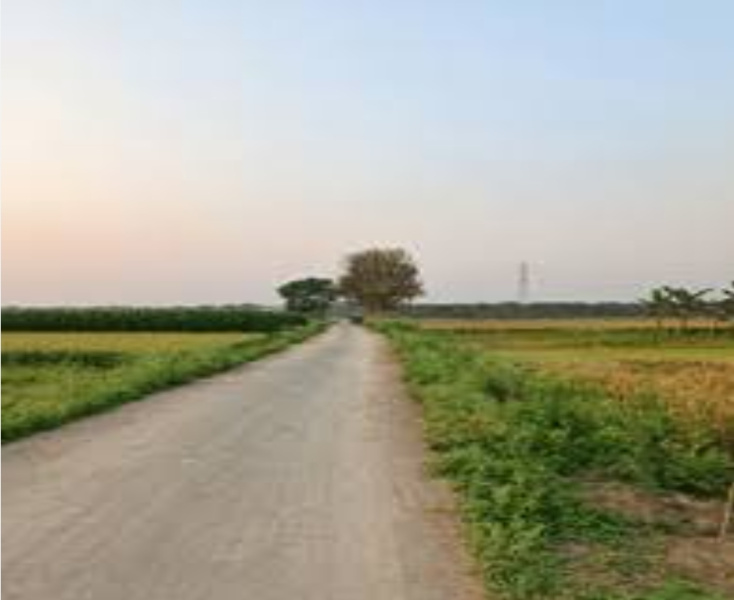  Agricultural Land 25 Acre for Sale in Dehlon, Ludhiana