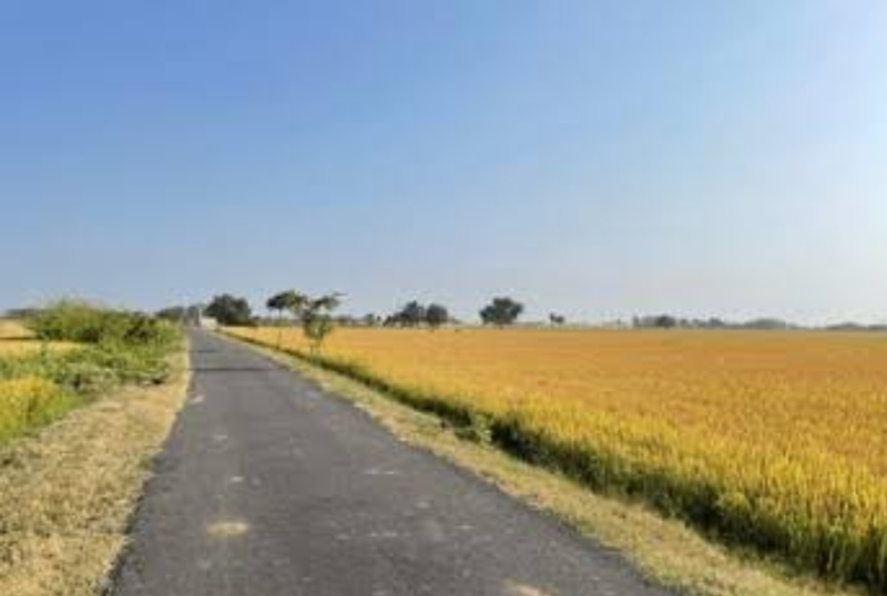  Agricultural Land 5 Acre for Sale in Dehlon, Ludhiana