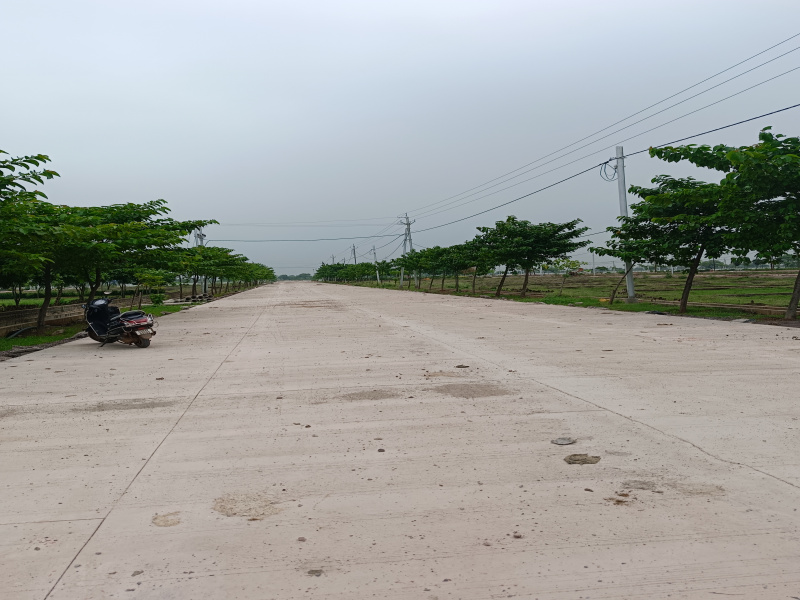  Residential Plot 1500 Sq.ft. for Sale in Amleshwar, Raipur