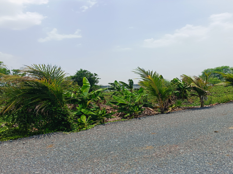  Residential Plot 5600 Sq.ft. for Sale in Datrenga, Raipur