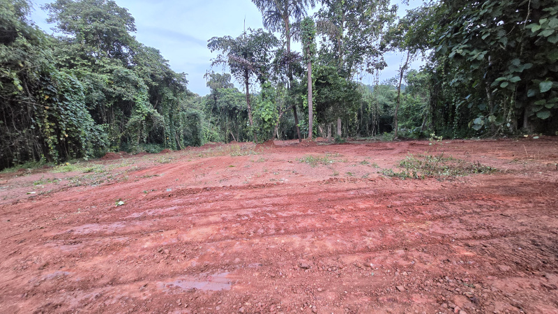  Residential Plot 2500 Sq. Meter for Sale in Salvador Do Mundo, Bardez, Goa