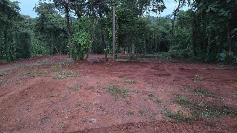  Residential Plot 2500 Sq. Meter for Sale in Salvador Do Mundo, Bardez, Goa