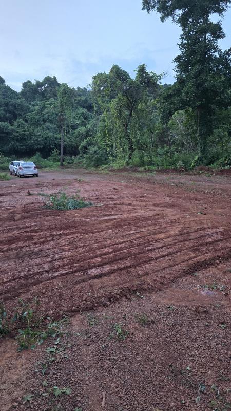  Residential Plot 2500 Sq. Meter for Sale in Salvador Do Mundo, Bardez, Goa