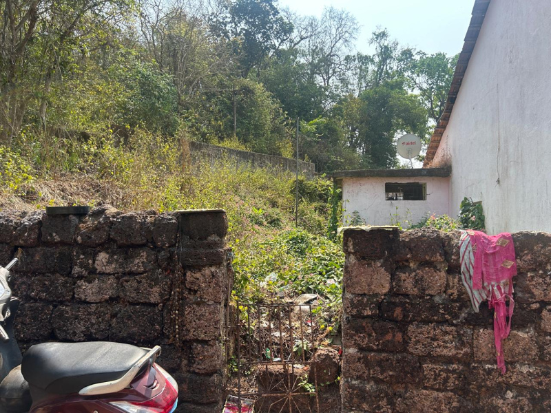 1 BHK House 245 Sq. Meter for Rent in Moira, North Goa