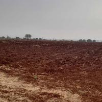  Agricultural Land for Sale in Ranjolkheni, Bidar