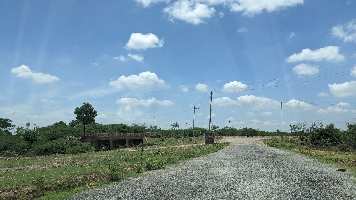  Agricultural Land for Sale in Cowl Bazaar, Bellary