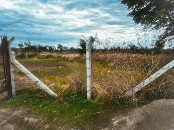  Residential Plot for Sale in Ballari, Bellary